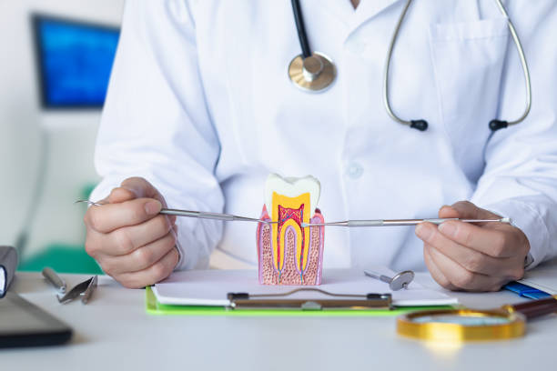 Best Emergency Tooth Extraction in Ridgecrest, FL